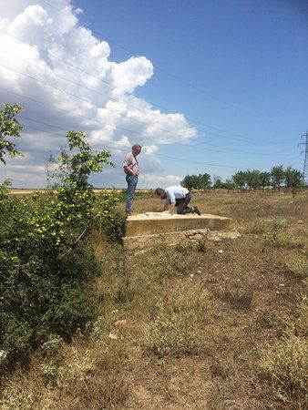 Complex Comercial 2 Cocosi